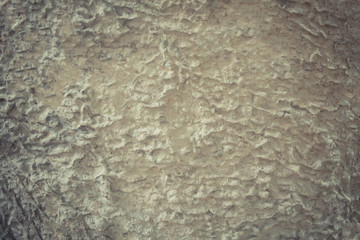 vintage grunge gray wall art concrete texture background