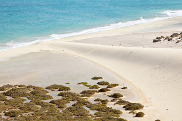 Playas De Sotavento, Fuerteventura