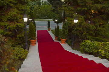 Red carpet on marble stairway welcoming VIPs.