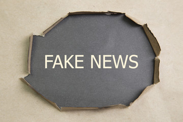 FAKE NEWS word written under torn paper.