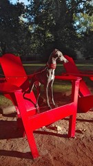 Allegra da Quinta D'Al&eacute;m