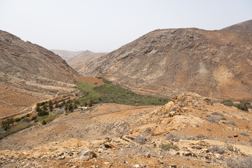 Vega De Rio Palmas, Fuerteventura