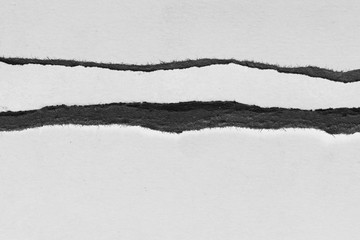 torn paper isolated