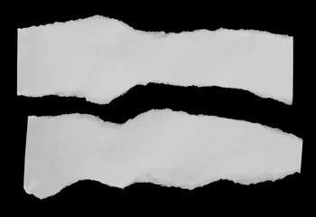 torn paper isolated