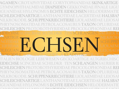 Echsen