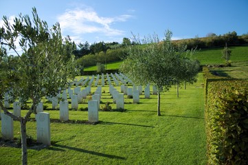 Naklejka premium Military cemetery in Montecchio (Italy)