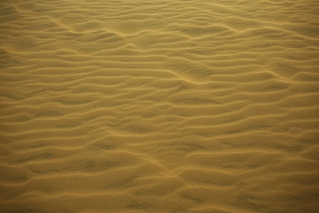 Texture sand in the desert