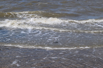 Nordseeküste