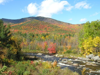 The Grandeur of Fall