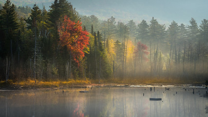 Colorful foliage reflected in a pond on a misty morning in the Adirondacks in early autumn
