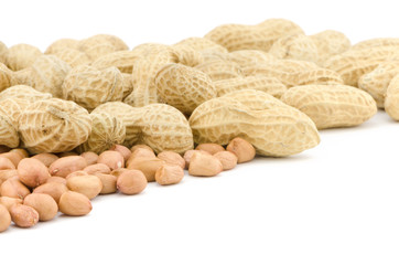 Close up of Peanut or groundnut food allergy health concept, selective focus, isolated on white background