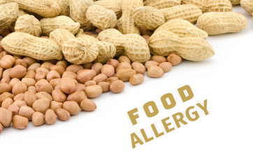 Peanut or groundnut food allergy health concept, isolated on white background