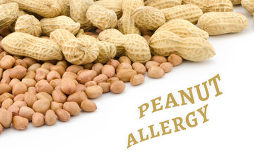 Peanut or groundnut food allergy health concept, isolated on white background