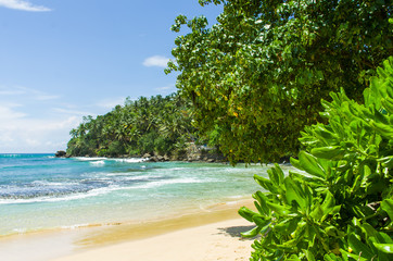 Tropical beach Mirissa in Sri
