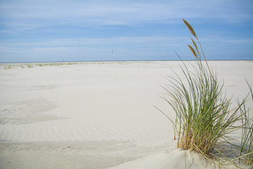 Sandünen am Meer
