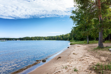 Trees on the sandy shore of the lake