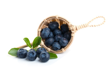 Blueberry. Two fresh blueberries with leaves isolated on white background. With clipping path.