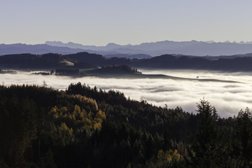 Nebelmeer von Bantigerturm in Richtung Osten - 174841685