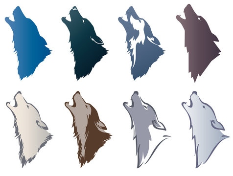 Wolf's head