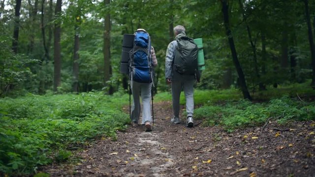 Nice aged couple walking in teh forest