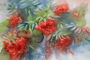 rowen berries and leaves watercolor background