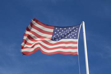 Obraz premium Bandiera americana al vento