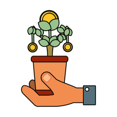 money plant icon