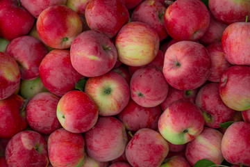 Ripe organic apples. Texture and background.