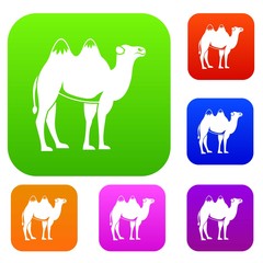 Camel set collection