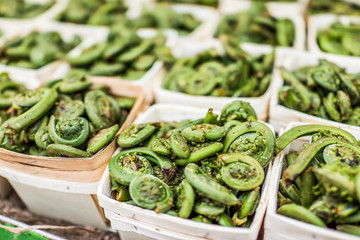 Macro closeup of fiddlehead ferns in baskets on display at market