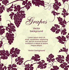 Vector background with vines in vintage style. Can be used for labels, invitations, greetings, posters, leaflets.