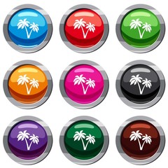 Two palms set 9 collection