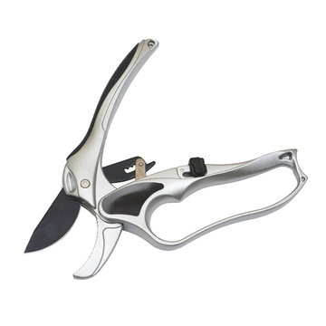 Professional titanium secateurs for garden work isolated on white background