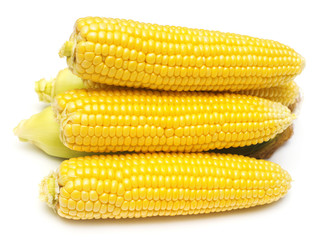 A corns is isolated on white background. Flat lay, top view