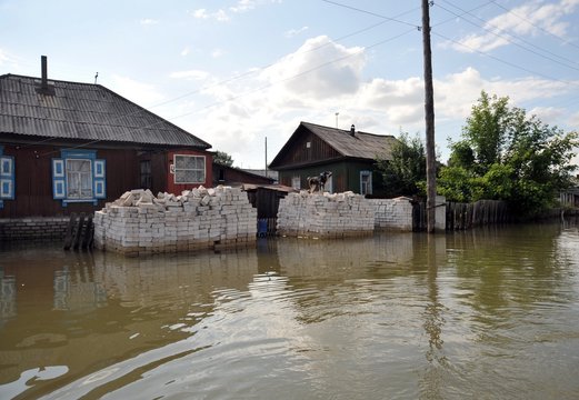 The Dog during the flood. The river Ob, which emerged from the shores, flooded the outskirts of the city.