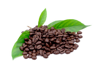 coffee grains and leaves