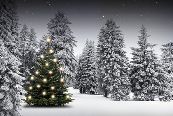 Weihnachtsbaum im Winterwald