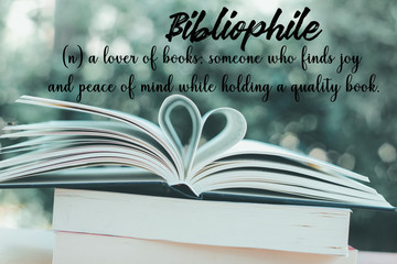 Bibliophile wording with meaning on books background with heart shape in the garden cafe - Retro...