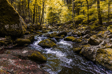 Buchberger Leite-2    Flusslauf Wolfsteiner Ohe am Wanderweg in der Buchberger Leite bei Freyung im Bayerischen Wald.