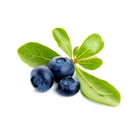 Blueberry. Two fresh blueberries with leaves isolated on white background. With clipping path.