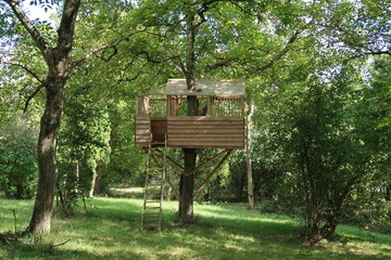 Tree hut