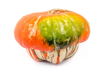 heirloom turban squash over white background