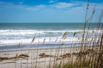 Secluded Beach 2