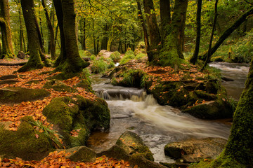 golitah falls cornwall
