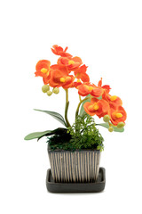 Bouquet of Plastic flowers. Plastic Flowers set on white background.