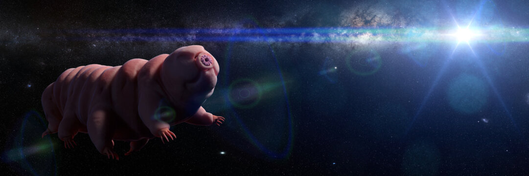 tardigrade in the vacuum open space, water bear in front of the Milky Way