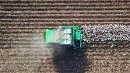 Aerial view of a Large green Cotton picker working in a field.