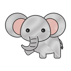 cute animals design