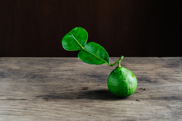 Green bergamot
