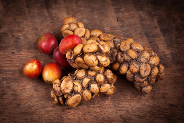 Kopi Luwak or civet coffee